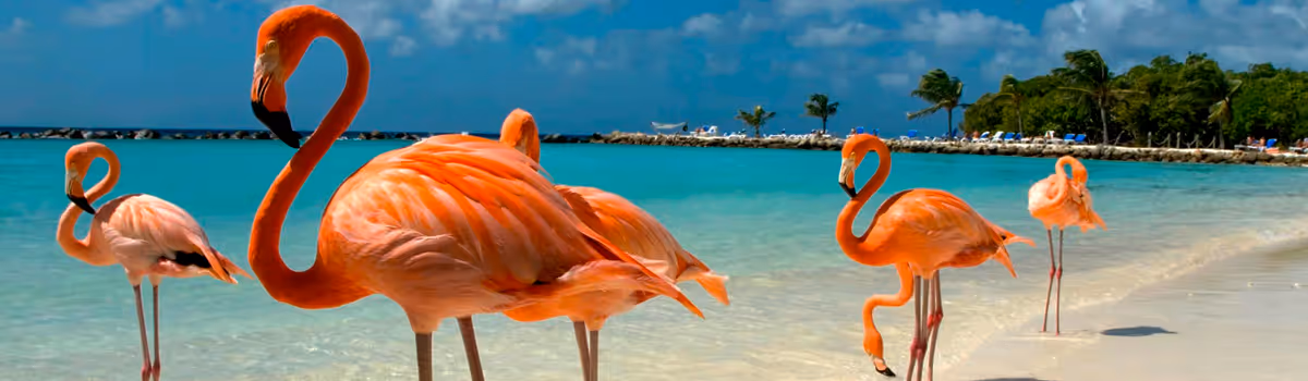 Imagen de Aruba